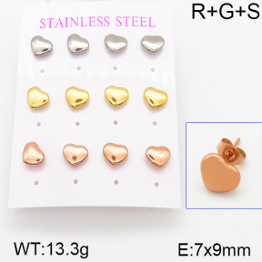 Stainless Steel Earrings  5E2001003bhil-436