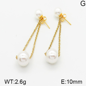 Stainless Steel Earrings  5E3000292ablb-436