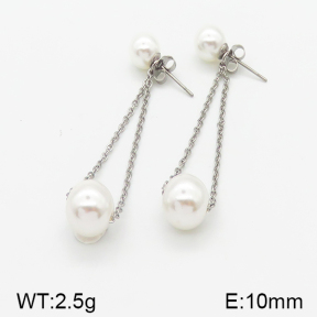 Stainless Steel Earrings  5E3000293baka-436