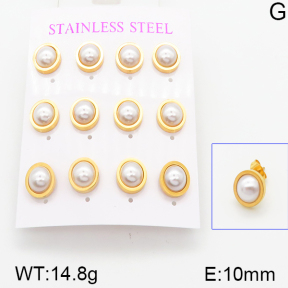 Stainless Steel Earrings  5E3000295vhov-436