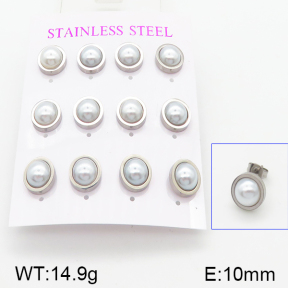 Stainless Steel Earrings  5E3000296ahlv-436