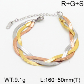 Stainless Steel Bracelet  5B2000858vbpb-434