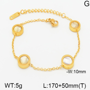 Stainless Steel Bracelet  5B4000704vbnl-434