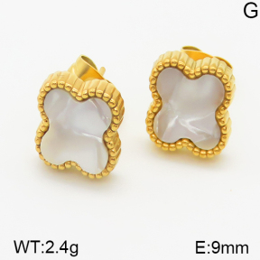 Stainless Steel Earrings  5E4000775ablb-434