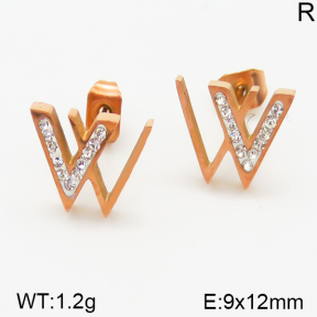 Stainless Steel Earrings  5E4000777baka-434