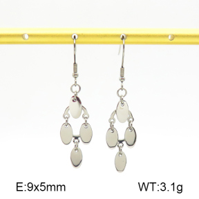 Stainless Steel Earrings  7E2000147baka-368