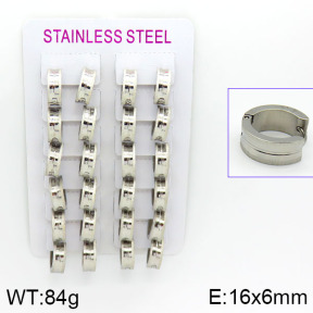 Stainless Steel Earrings  2E2000531akoa-387