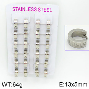 Stainless Steel Earrings  2E2000532akma-387