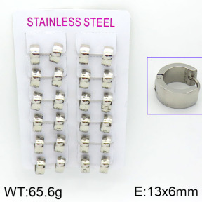 Stainless Steel Earrings  2E2000534akia-387