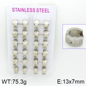 Stainless Steel Earrings  2E2000535akoa-387
