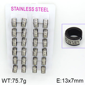 Stainless Steel Earrings  2E2000536alka-387
