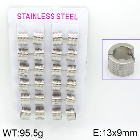 Stainless Steel Earrings  2E2000537akia-387