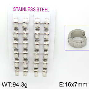 Stainless Steel Earrings  2E2000538alka-387