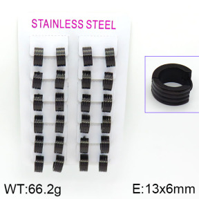 Stainless Steel Earrings  2E2000539alka-387