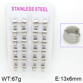 Stainless Steel Earrings  2E2000540akia-387