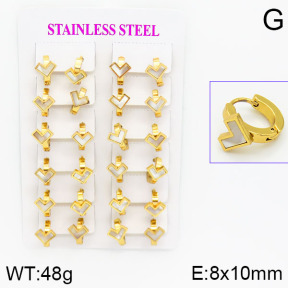 Stainless Steel Earrings  2E3000426ajma-446