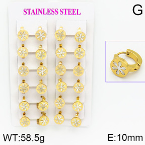 Stainless Steel Earrings  2E3000427ajma-446
