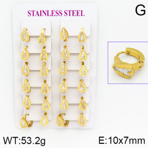 Stainless Steel Earrings  2E3000428ajma-446