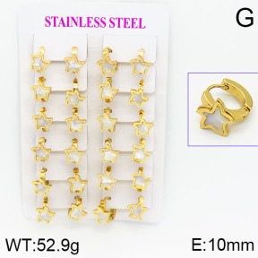Stainless Steel Earrings  2E3000429ajma-446