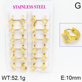 Stainless Steel Earrings  2E3000430ajma-446