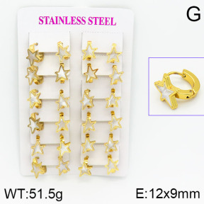 Stainless Steel Earrings  2E3000431ajma-446