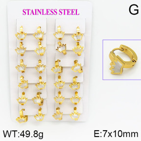 Stainless Steel Earrings  2E3000432ajma-446