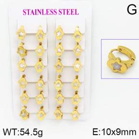 Stainless Steel Earrings  2E3000433ajma-446