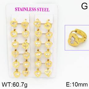 Stainless Steel Earrings  2E3000434ajma-446