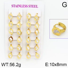 Stainless Steel Earrings  2E3000435ajma-446