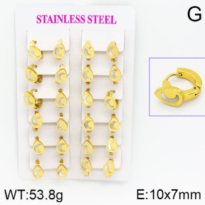 Stainless Steel Earrings  2E3000436ajma-446