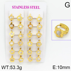 Stainless Steel Earrings  2E3000437ajma-446