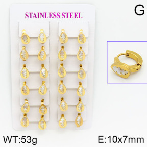 Stainless Steel Earrings  2E3000438ajma-446