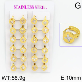 Stainless Steel Earrings  2E3000439ajma-446