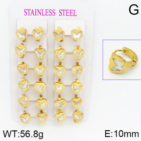 Stainless Steel Earrings  2E3000440ajma-446