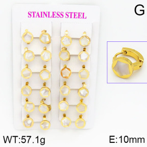 Stainless Steel Earrings  2E3000441ajma-446
