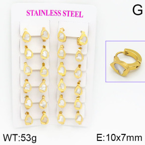 Stainless Steel Earrings  2E3000442ajma-446