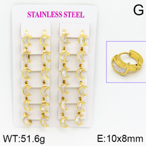 Stainless Steel Earrings  2E3000443ajma-446