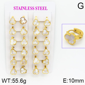 Stainless Steel Earrings  2E3000445ajma-446