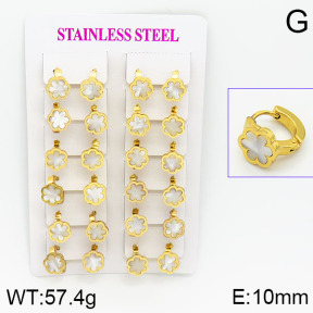 Stainless Steel Earrings  2E3000446ajma-446