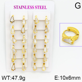 Stainless Steel Earrings  2E3000448ajma-446