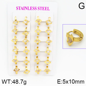 Stainless Steel Earrings  2E3000449ajma-446