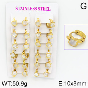 Stainless Steel Earrings  2E3000450ajma-446