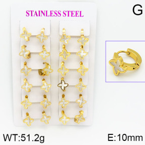 Stainless Steel Earrings  2E3000451ajma-446