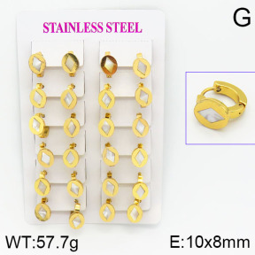 Stainless Steel Earrings  2E3000452ajma-446