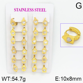 Stainless Steel Earrings  2E3000453ajma-446