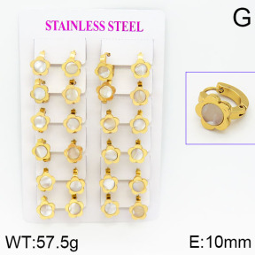 Stainless Steel Earrings  2E3000454ajma-446