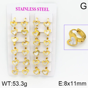 Stainless Steel Earrings  2E3000455ajma-446