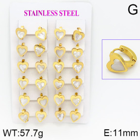 Stainless Steel Earrings  2E3000456ajma-446