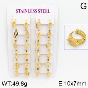 Stainless Steel Earrings  2E3000458ajma-446