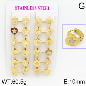 Stainless Steel Earrings  2E3000459ajma-446
